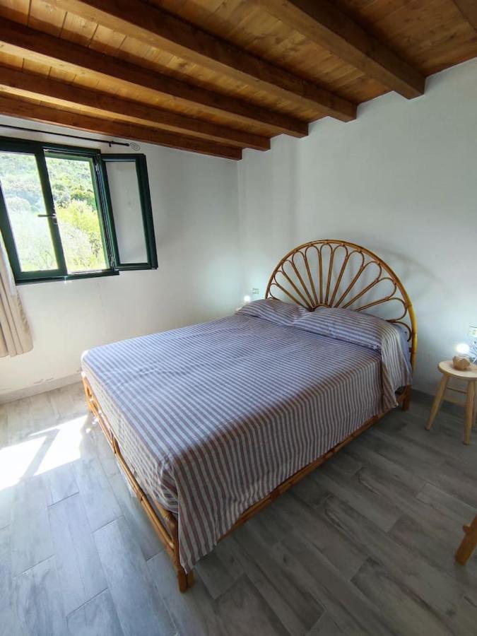 Villa Ulivella Schifoni Zewnętrze zdjęcie